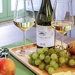 Italian Experience-zena