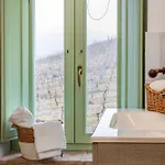 Italian Experience-zena