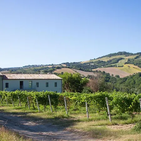 Italian Experience-zena 公寓 Cupramontana