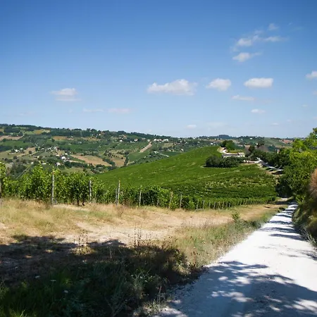 Italian Experience-zena * Cupramontana