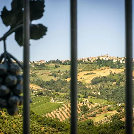 Italian Experience-zena * Cupramontana