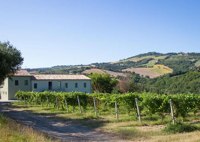 Italian Experience-zena Apartamento Cupramontana