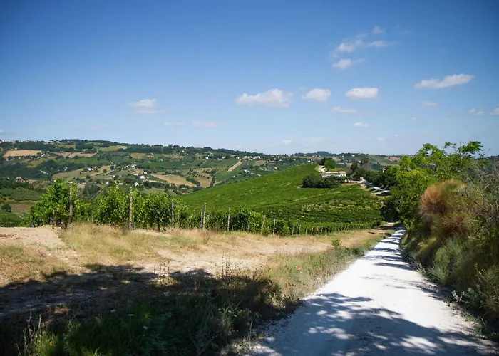 Italian Experience-zena * Cupramontana