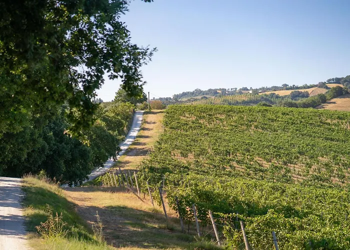 Apartamento Italian Experience-zena Cupramontana