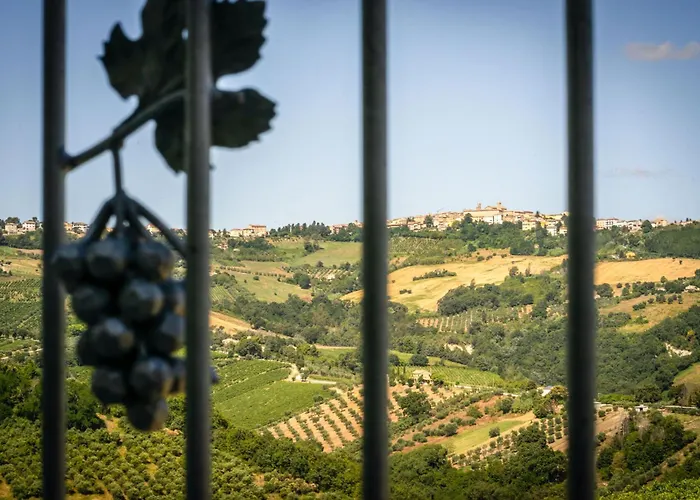 Italian Experience-zena * Cupramontana