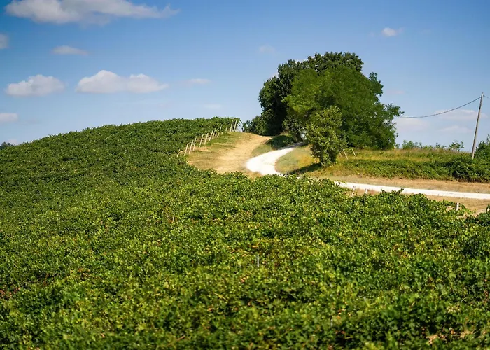 Italian Experience-zena