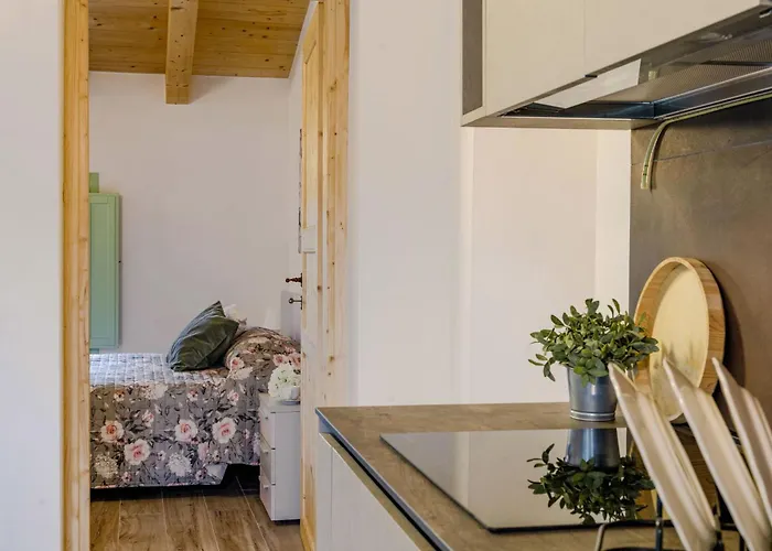 Italian Experience-zena *